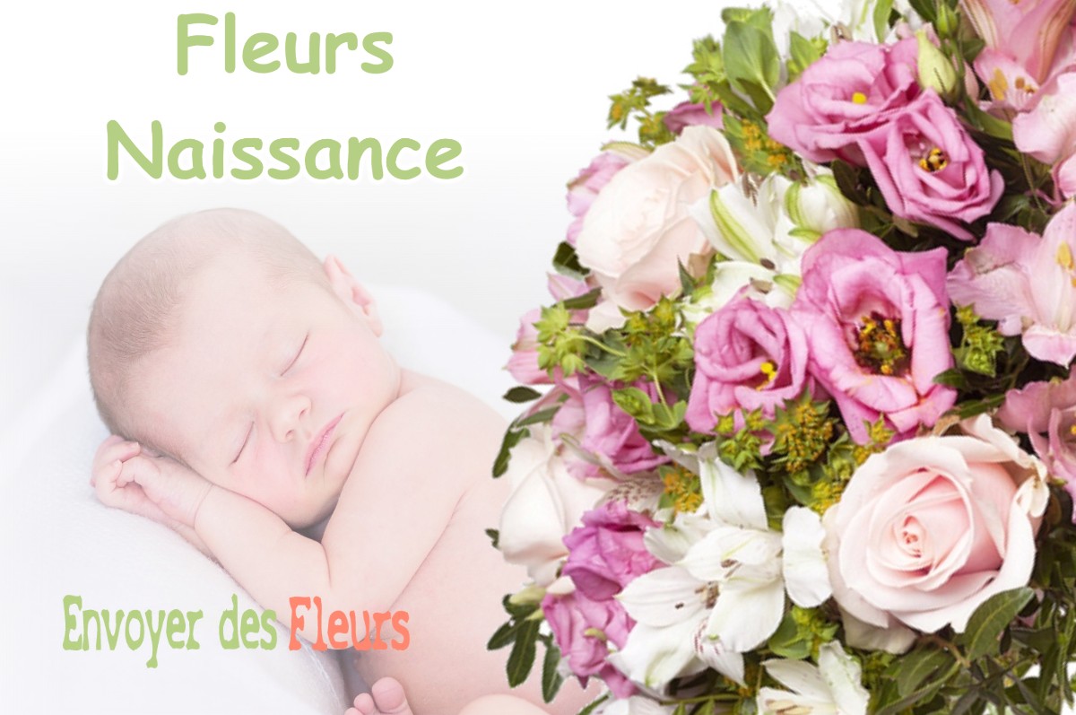 lIVRAISON FLEURS NAISSANCE à VARACIEUX